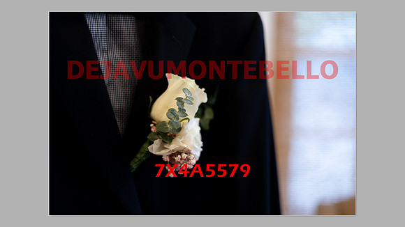 WEDDING 11_02_24-042