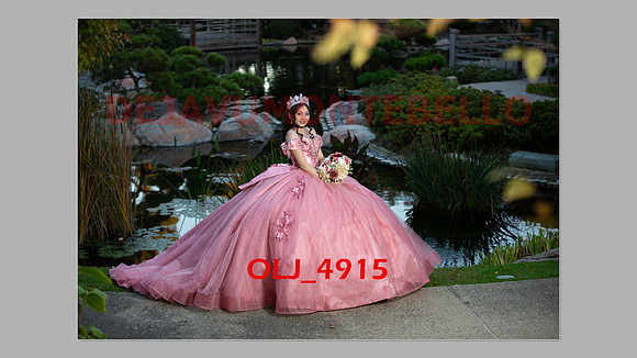 prrepics pink-121