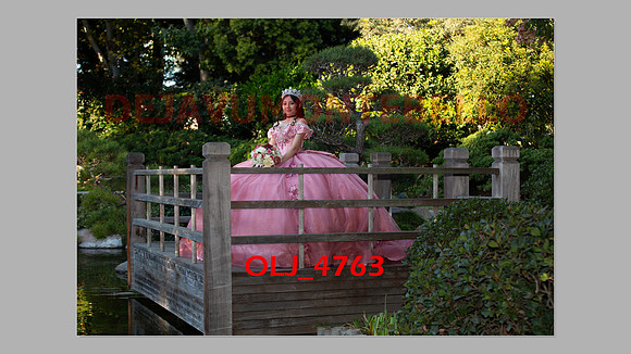 prrepics pink-018