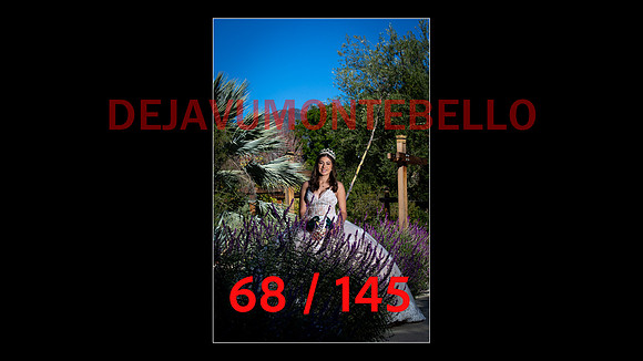 SLIDE XV-068