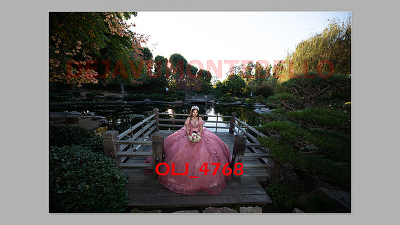 prrepics pink-021