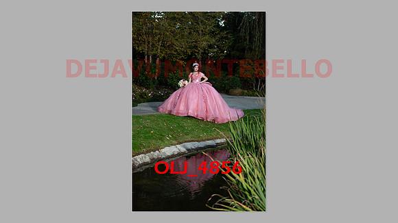 prrepics pink-077
