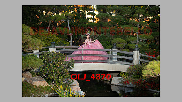 prrepics pink-088