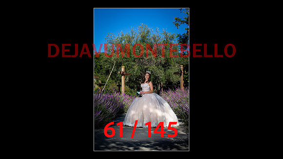 SLIDE XV-061