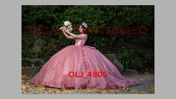 prrepics pink-048