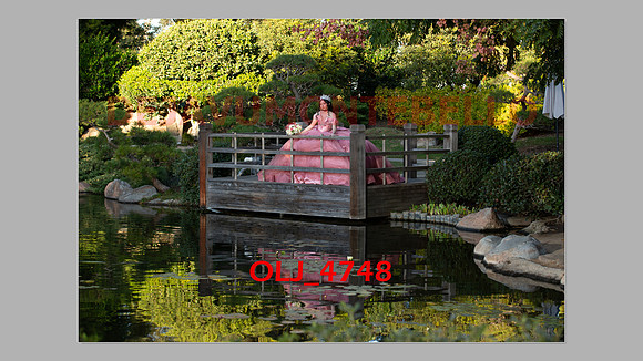 prrepics pink-007
