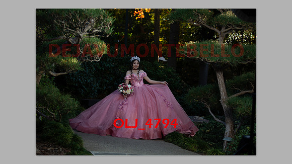 prrepics pink-038
