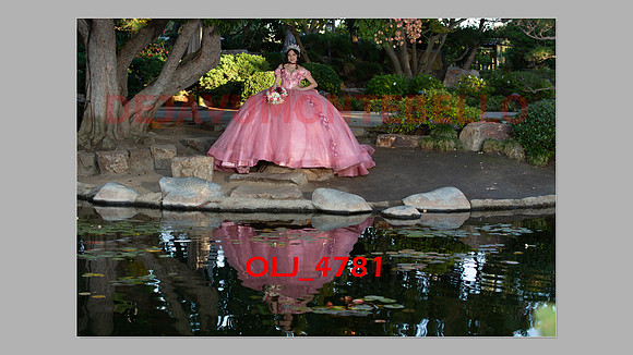 prrepics pink-031