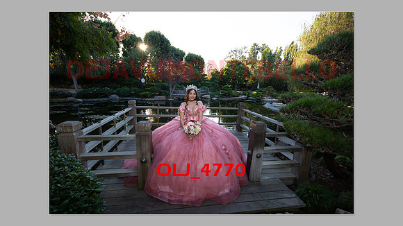 prrepics pink-022