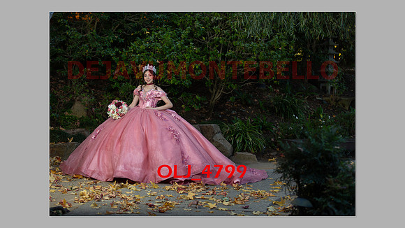 prrepics pink-042