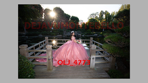 prrepics pink-024