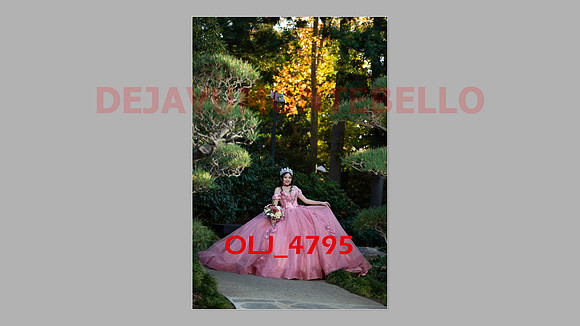 prrepics pink-039