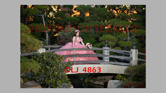 prrepics pink-081