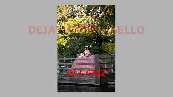 prrepics pink-011