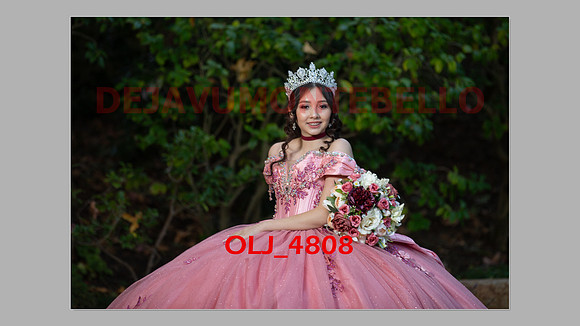 prrepics pink-051