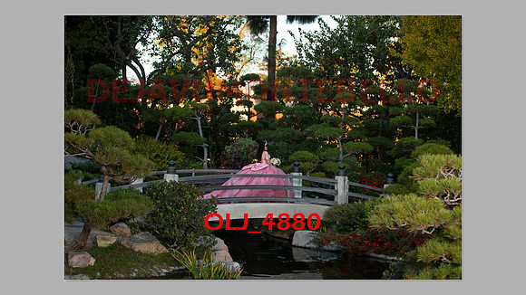 prrepics pink-098
