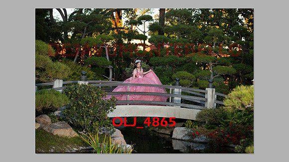 prrepics pink-083