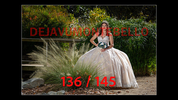 SLIDE XV-136