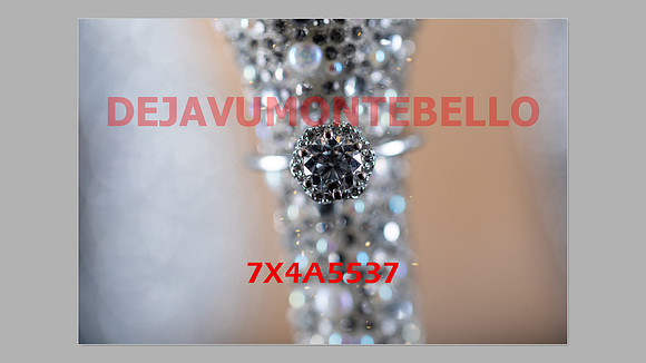 WEDDING 11_02_24-005