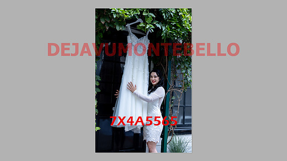 WEDDING 11_02_24-028