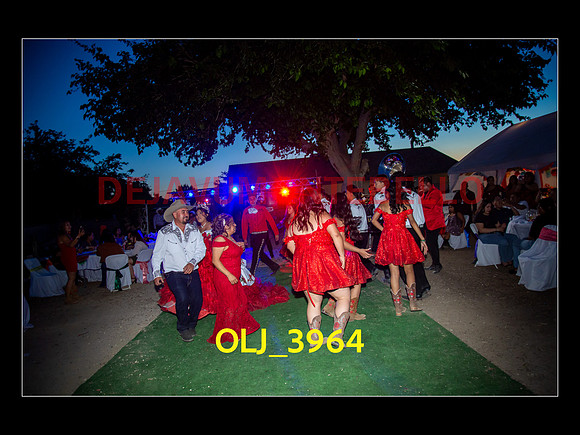 SLIDESHOW ADAMARI-752