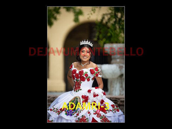 SLIDE PRE-06
