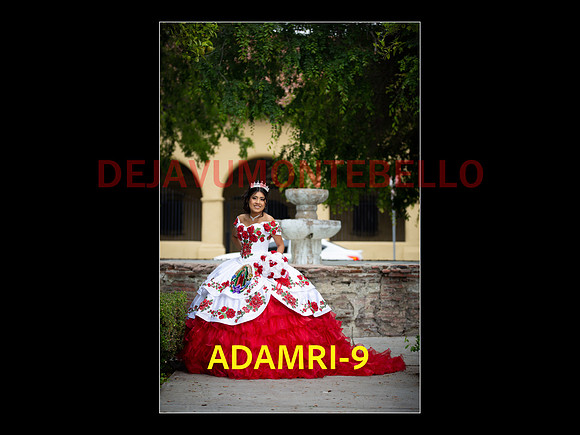 SLIDE PRE-07