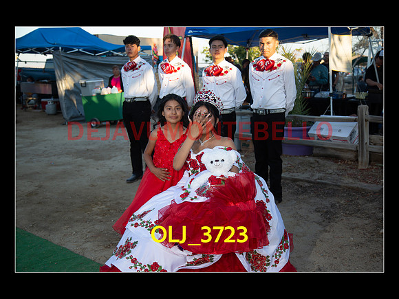 SLIDESHOW ADAMARI-530