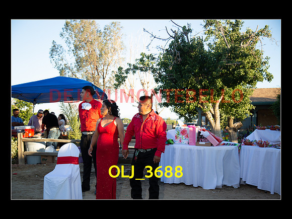 SLIDESHOW ADAMARI-496