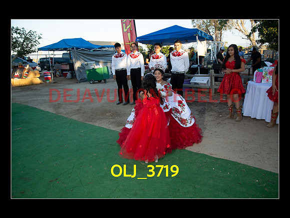 SLIDESHOW ADAMARI-526