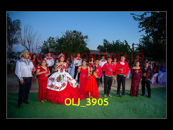 SLIDESHOW ADAMARI-706