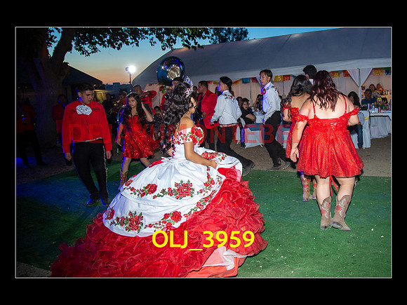 SLIDESHOW ADAMARI-747