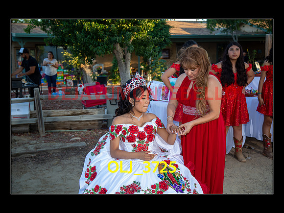 SLIDESHOW ADAMARI-532