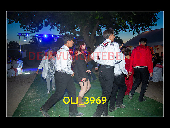 SLIDESHOW ADAMARI-757