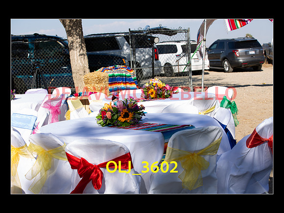 SLIDESHOW ADAMARI-432