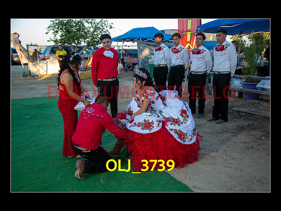SLIDESHOW ADAMARI-546