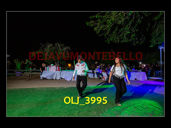 SLIDESHOW ADAMARI-773