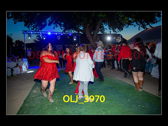 SLIDESHOW ADAMARI-758