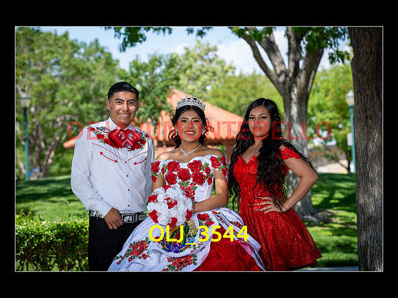 SLIDESHOW ADAMARI-397