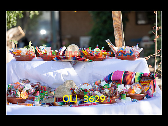 SLIDESHOW ADAMARI-451