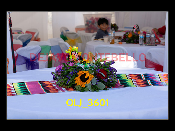 SLIDESHOW ADAMARI-431