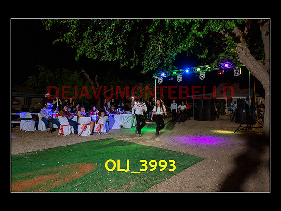 SLIDESHOW ADAMARI-771