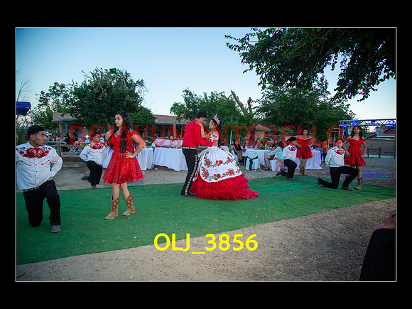 SLIDESHOW ADAMARI-658