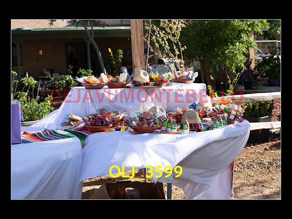 SLIDESHOW ADAMARI-429