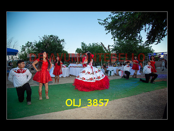 SLIDESHOW ADAMARI-659