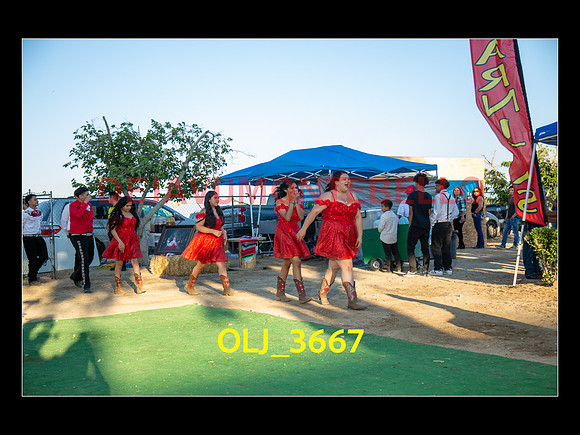 SLIDESHOW ADAMARI-477