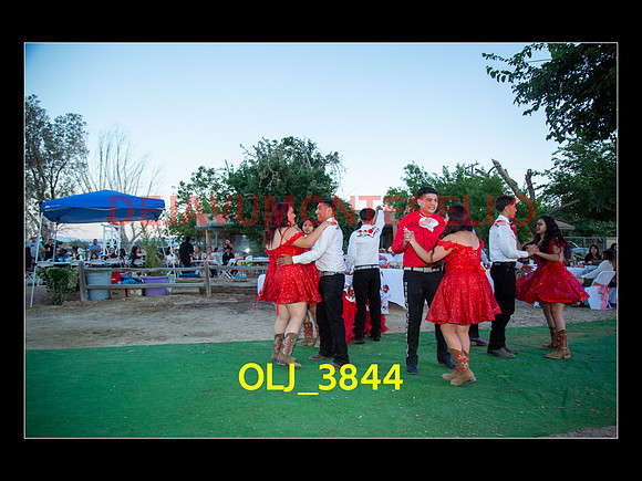 SLIDESHOW ADAMARI-646