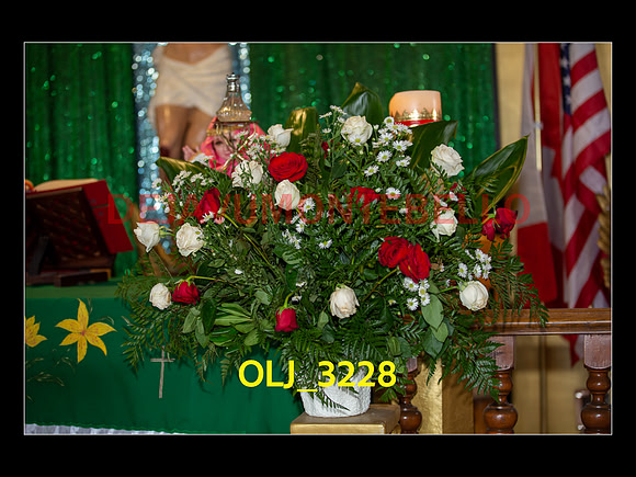 SLIDESHOW ADAMARI-123