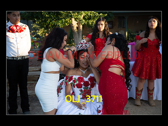 SLIDESHOW ADAMARI-519