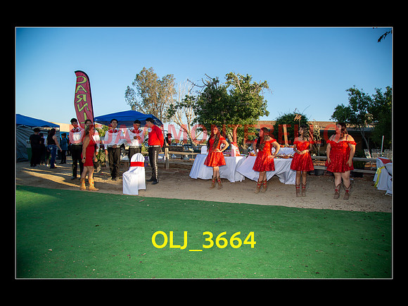SLIDESHOW ADAMARI-475